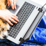 Hund und Computer
