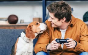 Mann mit Hund und Controller