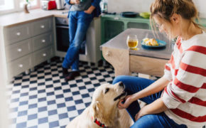 in der Küche sitzende Frau krault einen Hund