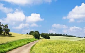 Landschaft mit Weg